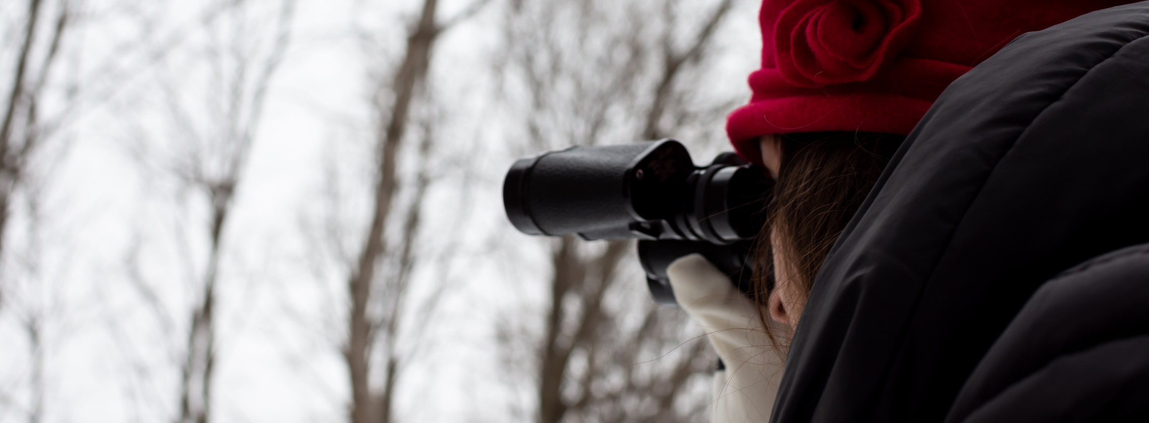 Fargo Park District and Audubon Great Plains host Winter Birding